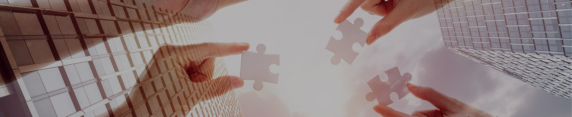 XC-Sports（天津）海外矿业服务有限公司